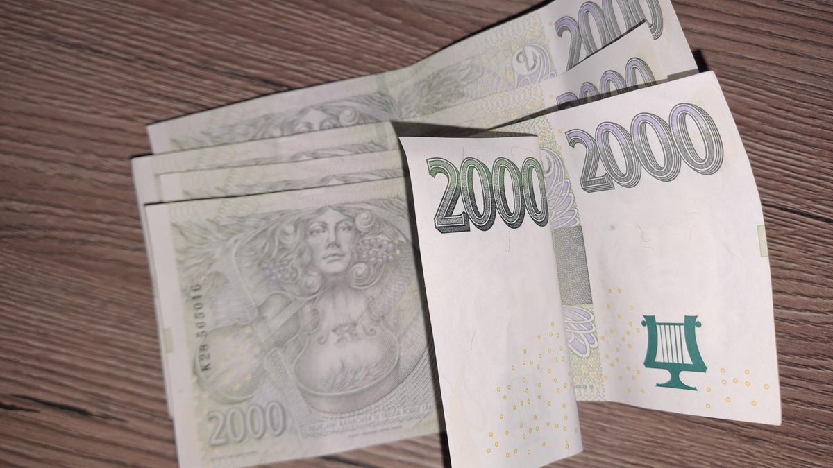 Mladík z Chebska ukradl své babičce peníze a platební kartu